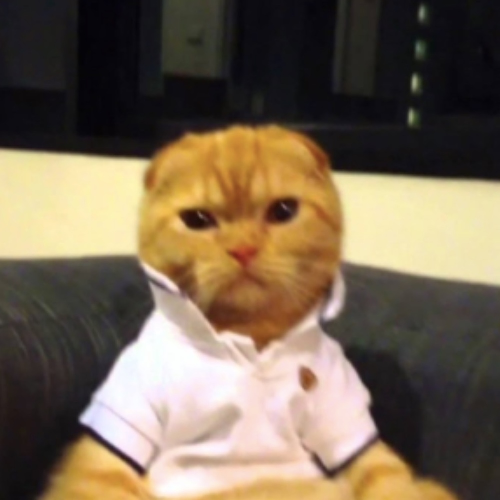 Meet your Posher, Marilyn